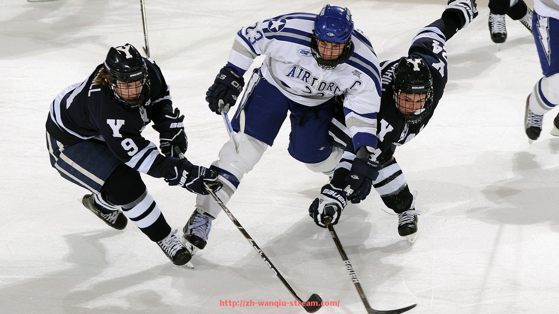 玩球直播-户外健身器材中的踏步器及体育健身指导